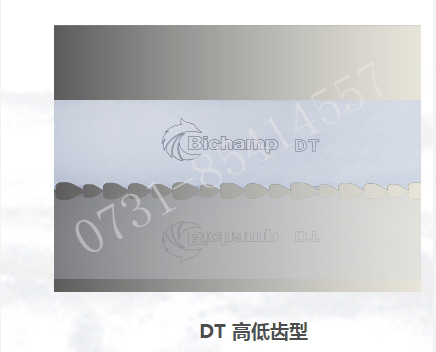 DT 高低齒型泰鉅?zhēng)т彈l